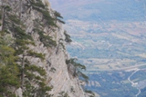 Clicca qui per vedere l'immagine in dettaglio
